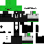 Texture for Turtle Wick1