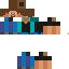 Texture for Steve