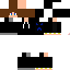 Texture for MR. NINT MN