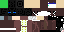 Texture for Ender