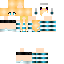 Texture for Cat