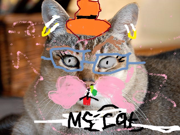 Texture for block funny cat