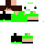 Texture for leo_2016