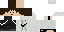 Texture for ReX321