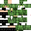 Texture for creeper cham
