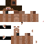 Texture for steeeeeeveee