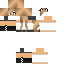 Texture for Alice