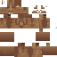 Texture for bear