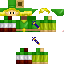 Texture for Link