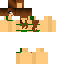 Texture for bikini0