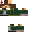 Texture for Goa