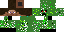 Texture for creeper