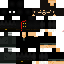 Texture for leo