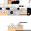 Texture for steve