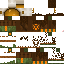 Texture for V6