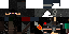 Texture for ninja