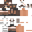 Texture for Brichi