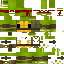 Texture for ninja