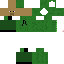 Texture for Steve