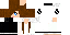 Texture for gt