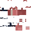 Texture for ckownerf