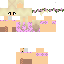 Texture for SPRINGSkin