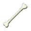 Texture for Bone