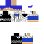 Texture for Robby004