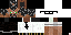 Texture for D_bert1