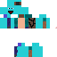 Texture for carapute