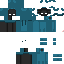 Texture for Nycon