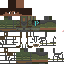 Texture for Combatant