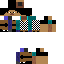 Texture for Ardi host