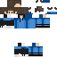 Texture for HOIR