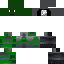 Texture for lisard