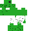 Texture for kakktus