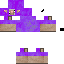 Texture for Purpleshep