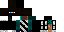 Texture for Ninja
