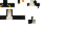 Texture for Penguin Test 4