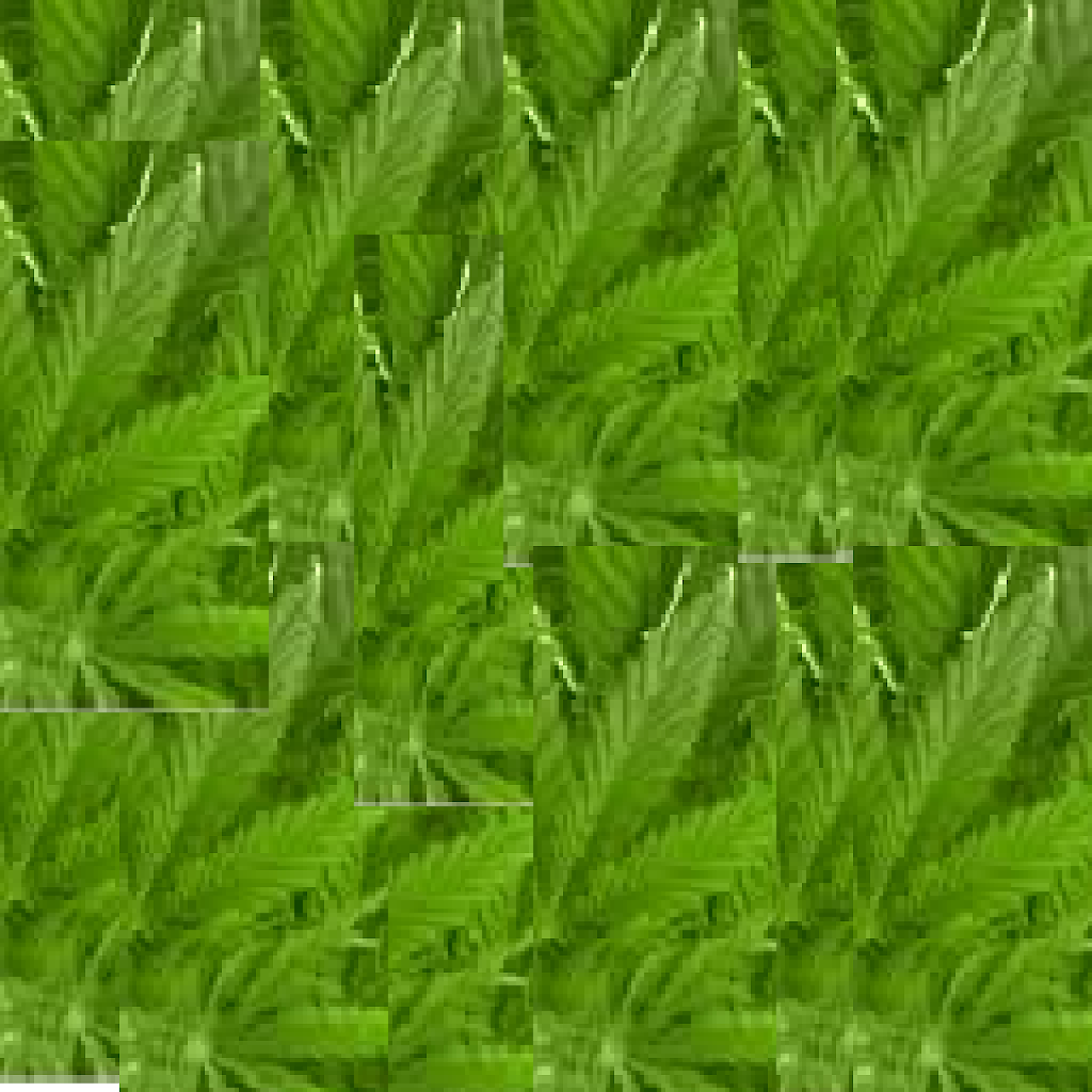Texture for hojas y pasto de oscar