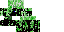 Texture for Creeperender