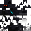 Texture for Ninja