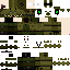 Texture for DSA