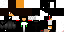 Texture for PheenixBR