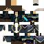 Texture for mideval nick
