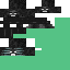Texture for Wither