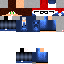 Texture for flipper2015