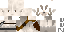 Texture for Goat Tim