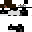 Texture for Baer