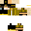 Texture for Rein_Striver